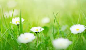 Allergy & Immunology Services
