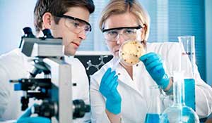 Infectious Disease Services