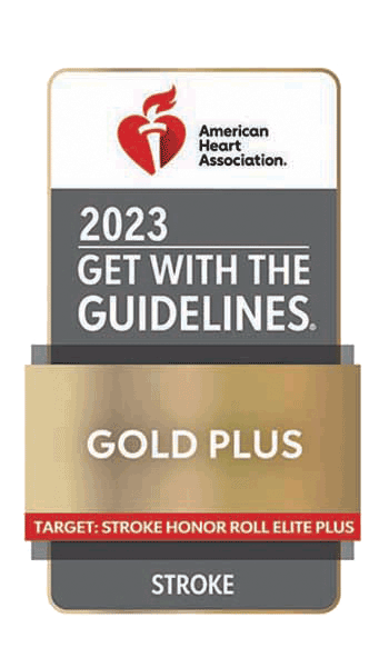 Get with the Guidelines Gold Plus Award for Stroke